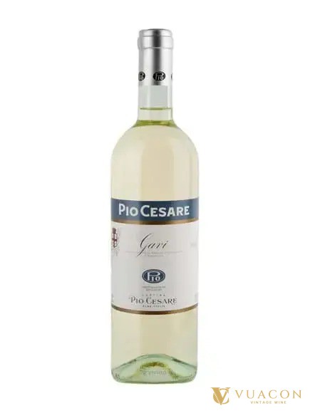 Vang Gavi DOCG, chai Pio Cesare Gavi làm từ nho Cortese