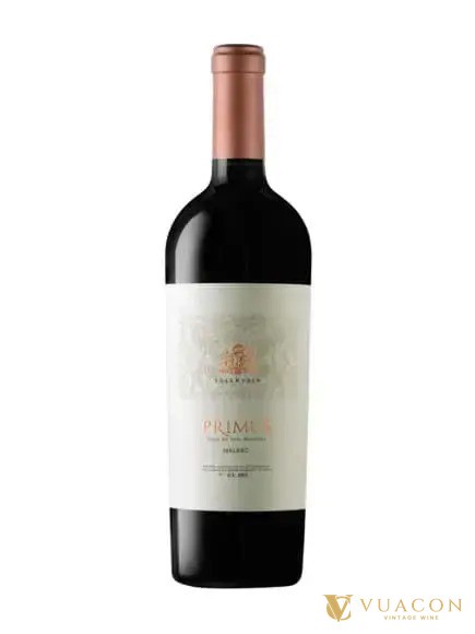 Vang Argentina 2026: Salentein Primus Malbec của nhà vang được Tim Atkin chọn là nhà vang của năm