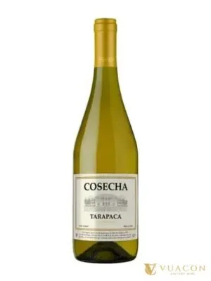 Rượu vang Tarapaca Cosecha Chardonnay – Central Valley, Chile, 750ml