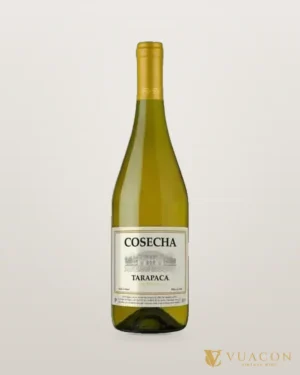 Rượu vang Tarapaca Cosecha Chardonnay – chai chính hãng tại Vua Cồn