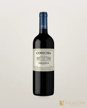 Rượu vang Tarapaca Cosecha Merlot – chai chính hãng tại Vua Cồn