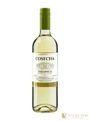 Rượu vang Tarapaca Cosecha Sauvignon Blanc – Chile, 750ml