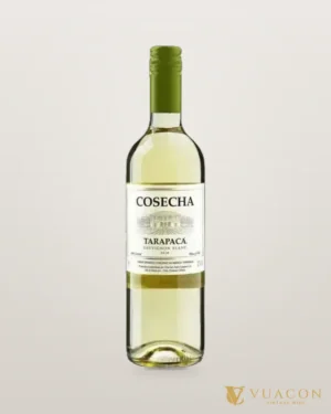 Rượu vang Tarapaca Cosecha Sauvignon Blanc – chai chính hãng tại Vua Cồn
