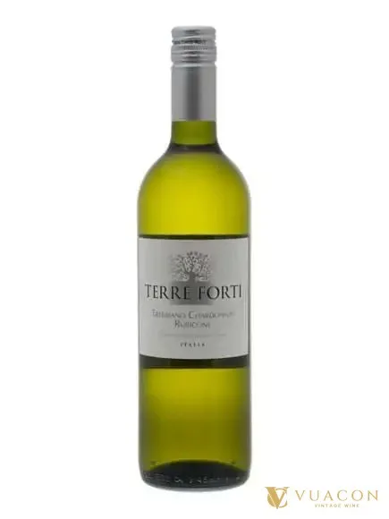 Rượu vang Terre Forti Trebbiano Chardonnay – Ý, 750ml
