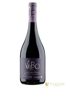 Rượu vang Vibo Punta Del Viento – Colchagua Valley, Chile, 750ml