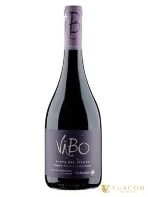 Rượu vang Vibo Punta Del Viento – Colchagua Valley, Chile, 750ml