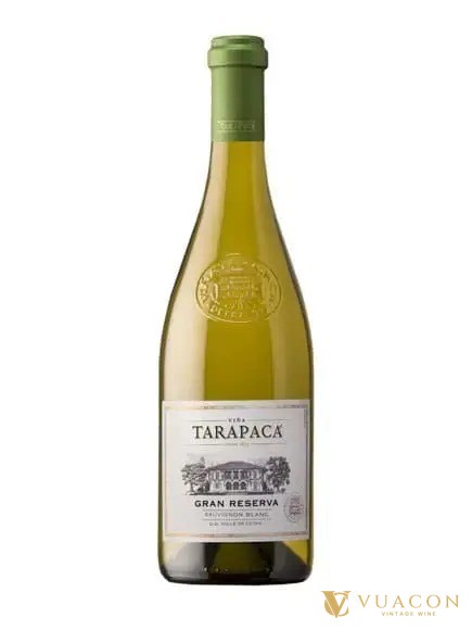 Tarapaca Gran Reserva Sauvignon Blanc vang trắng Chile vùng Leyda