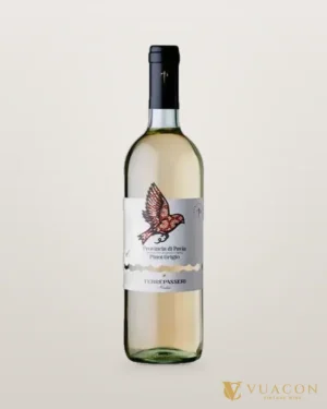 Terre Passeri Provincia di Pavia Pinot Grigio – chai chính hãng tại Vua Cồn