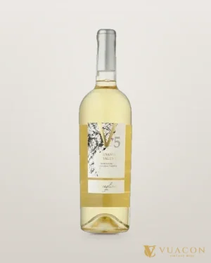 V5 Malvasia Bianca – chai chính hãng tại Vua Cồn