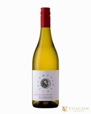 Vang Circumstance Sauvignon Blanc – Nam Phi, 750ml