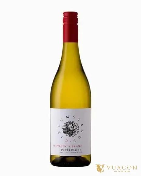 Vang Circumstance Sauvignon Blanc – Nam Phi, 750ml