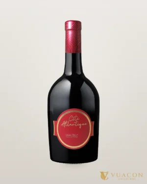 Vang Cote Atlantique Malbec – chai chính hãng tại Vua Cồn