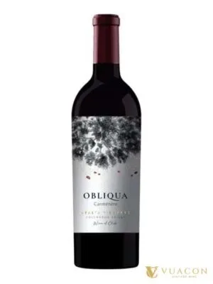 Ventisquero Obliqua Carmenere – Colchagua Valley, Chile, 750ml