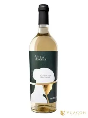 Villa Angela Passerina – Marche, Ý, 750ml