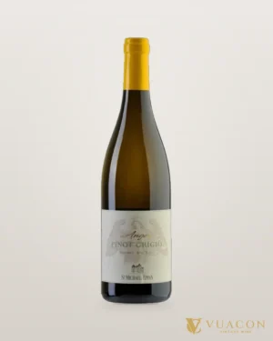 Anger Pinot Grigio Alto Adige DOC – chai chính hãng tại Vua Cồn