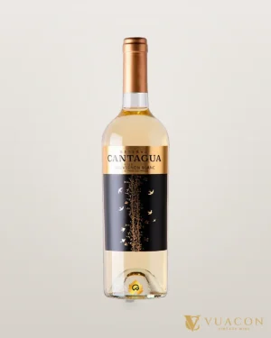 Cantagua Reserva Sauvignon Blanc – chai chính hãng tại Vua Cồn