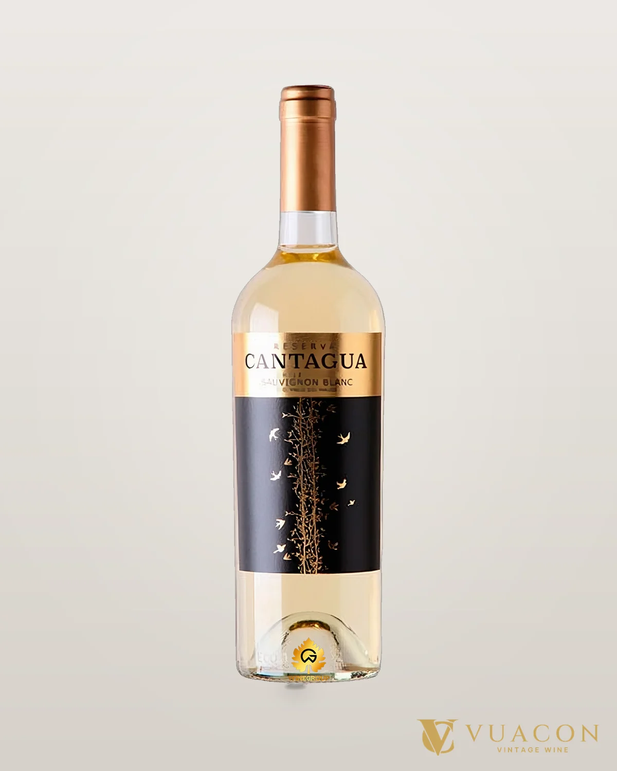 Cantagua Reserva Sauvignon Blanc – chai chính hãng tại Vua Cồn