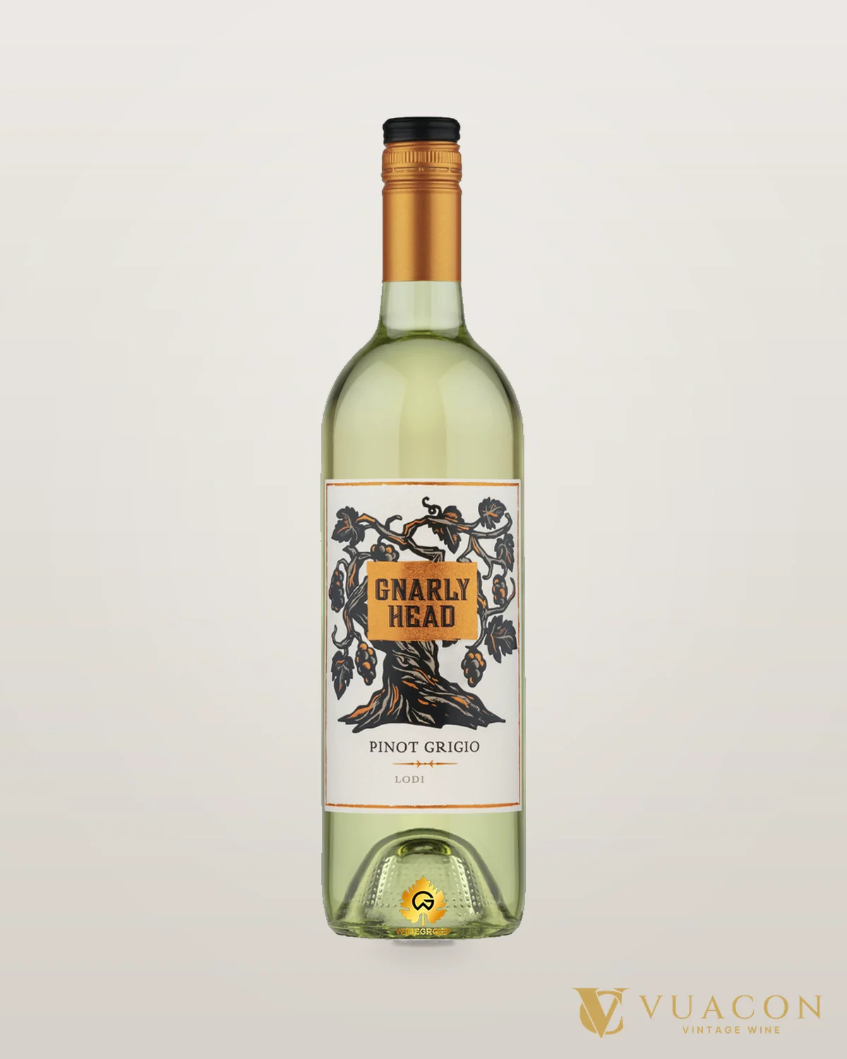 Gnarly Head Pinot Grigio Lodi California – chai chính hãng tại Vua Cồn