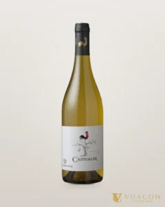 La Ronciere Cantoalba Chardonnay – chai chính hãng tại Vua Cồn