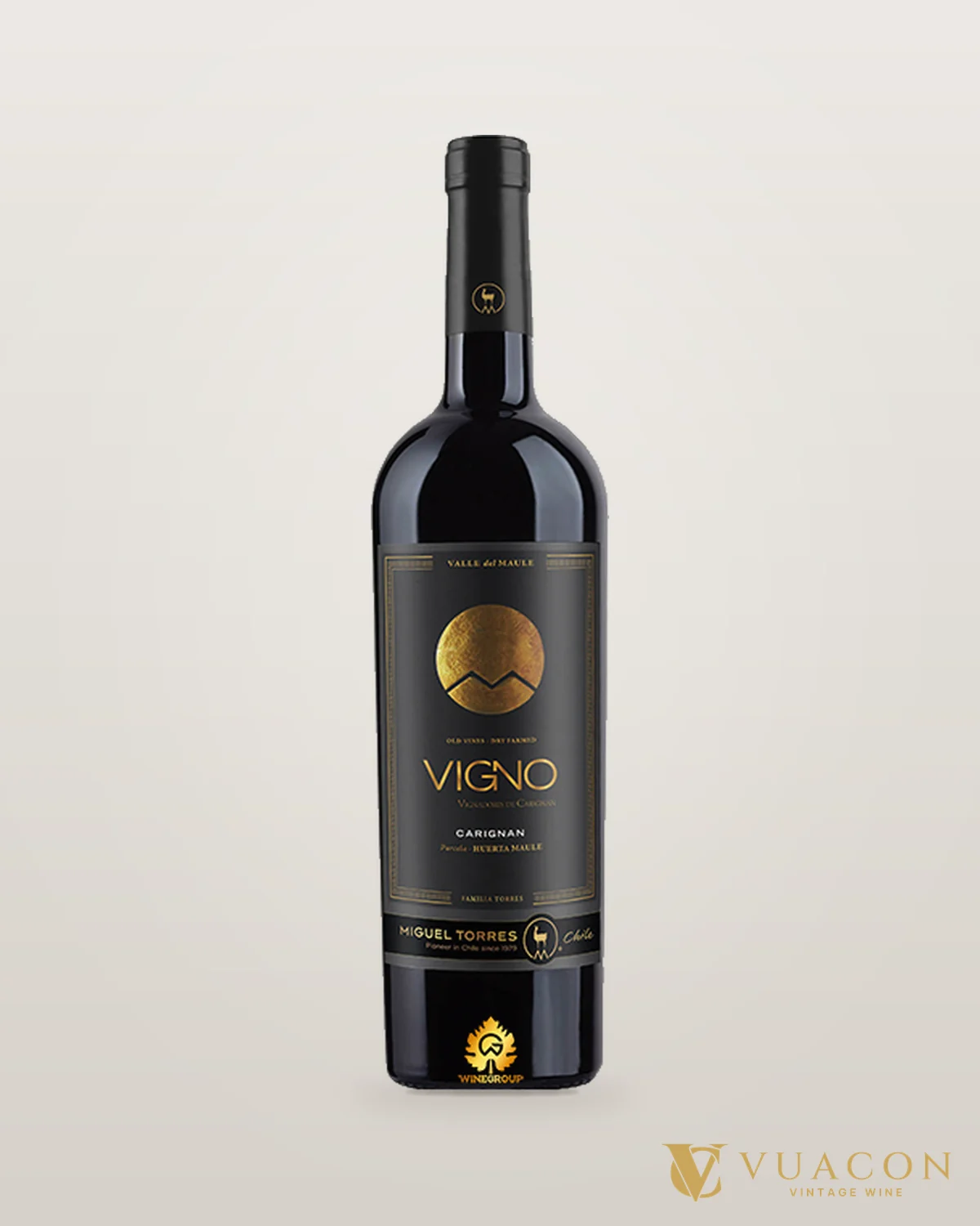 Miguel Torres Vigno Carignan – chai chính hãng tại Vua Cồn