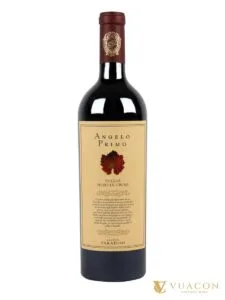 Rượu vang Cantine Paradiso Angelo Primo Nero di Troia – Puglia, Ý, 750ml