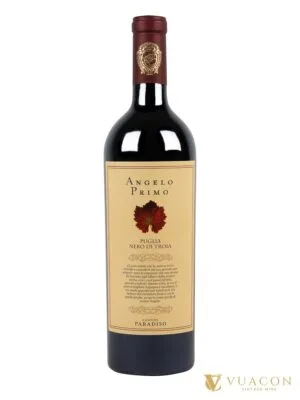 Rượu vang Cantine Paradiso Angelo Primo Nero di Troia – Puglia, Ý, 750ml