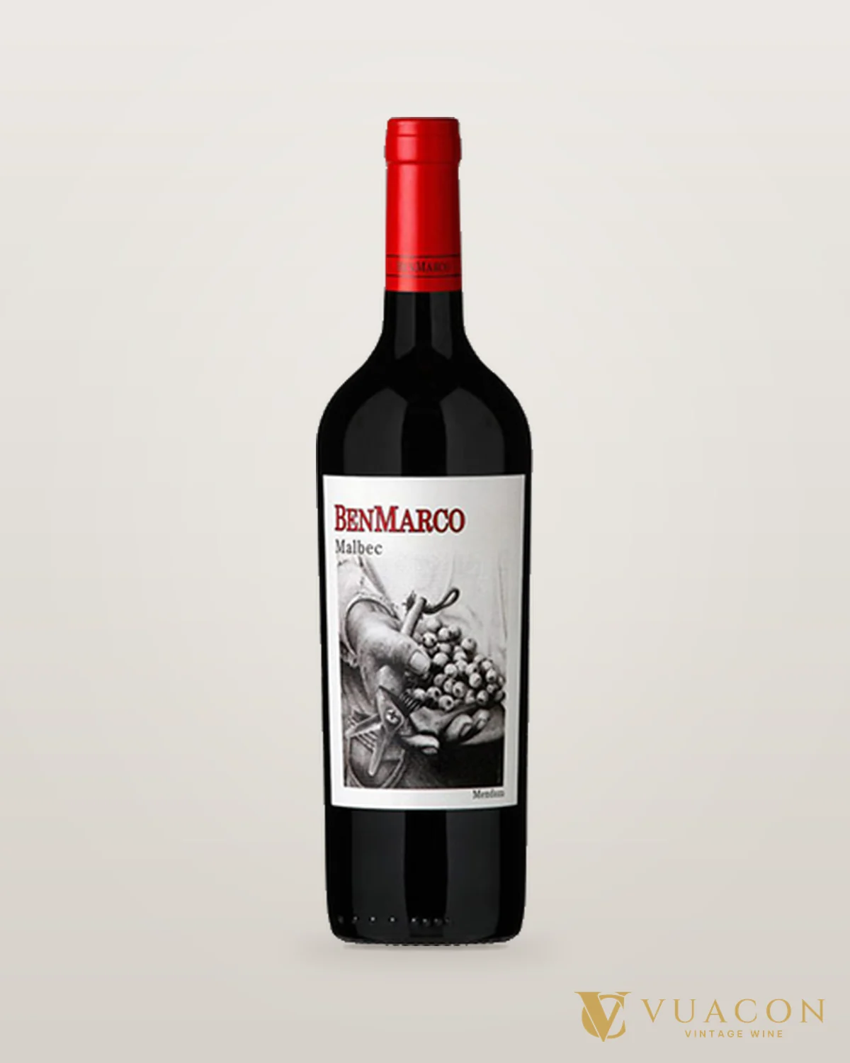 Susana Balbo Benmarco Malbec Los Chacayes Uco Valley – chai chính hãng tại Vua Cồn