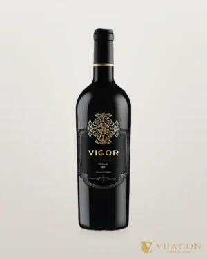 Vigor Puglia IGT Limited Edition – chai chính hãng tại Vua Cồn