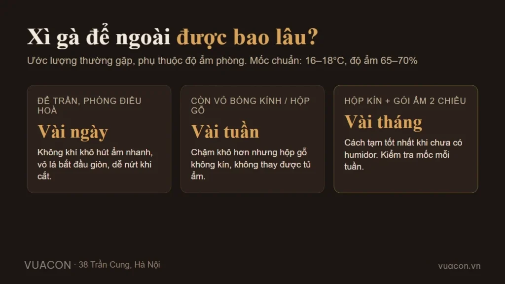 Xì gà để ngoài được bao lâu: vài ngày, vài tuần hay vài tháng tuỳ cách cất